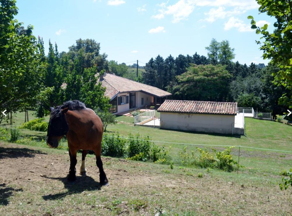 Love Room- Spa- Escale Amoureuse Puygaillard-de-Quercy Zewnętrze zdjęcie
